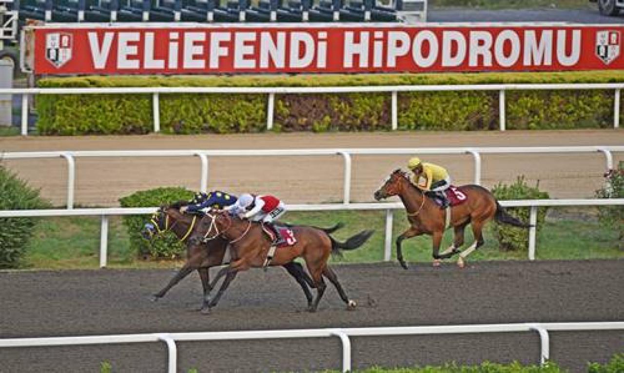 Bahadır Gödek Koşusu'nun galibi Katsu oldu