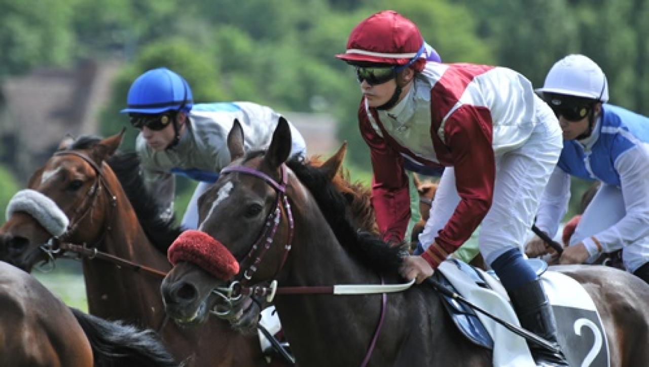 20 Eylül Salı Fransa Evreux yarış programı ve erken bahis oranları belli oldu