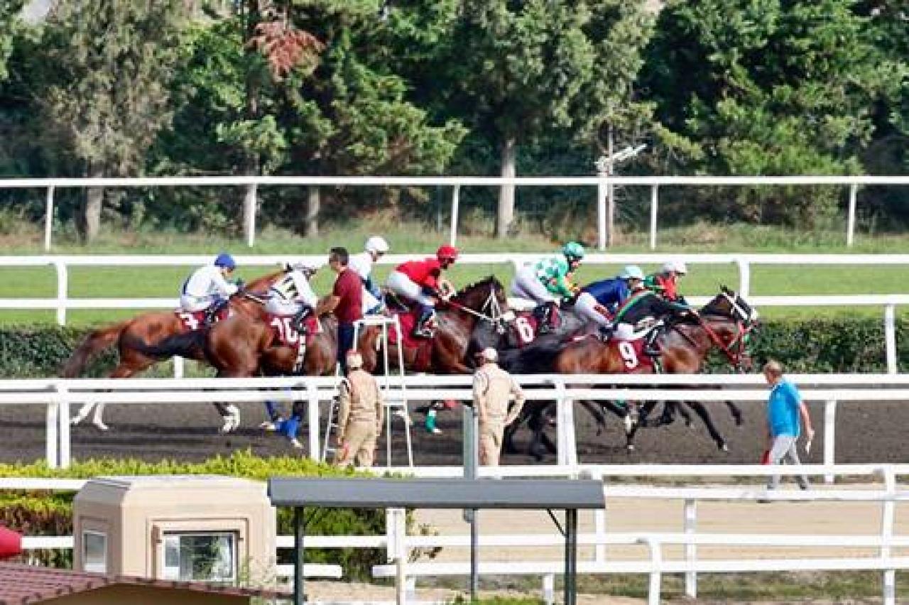 Talha Dinçel Koşusu'nu Bedestan kazandı