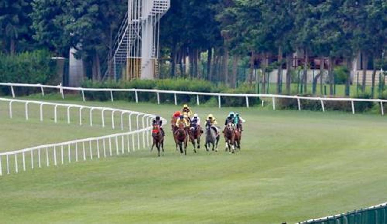 Prof. Aziz Ergin Koşusu'nun galibi Fluttershy oldu