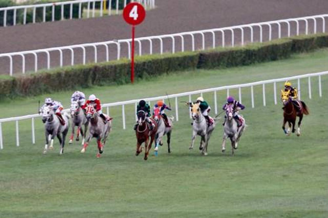 Muzaffer Bozok Koşusu'nda birinciliğe Egenin Aslanı uzandı