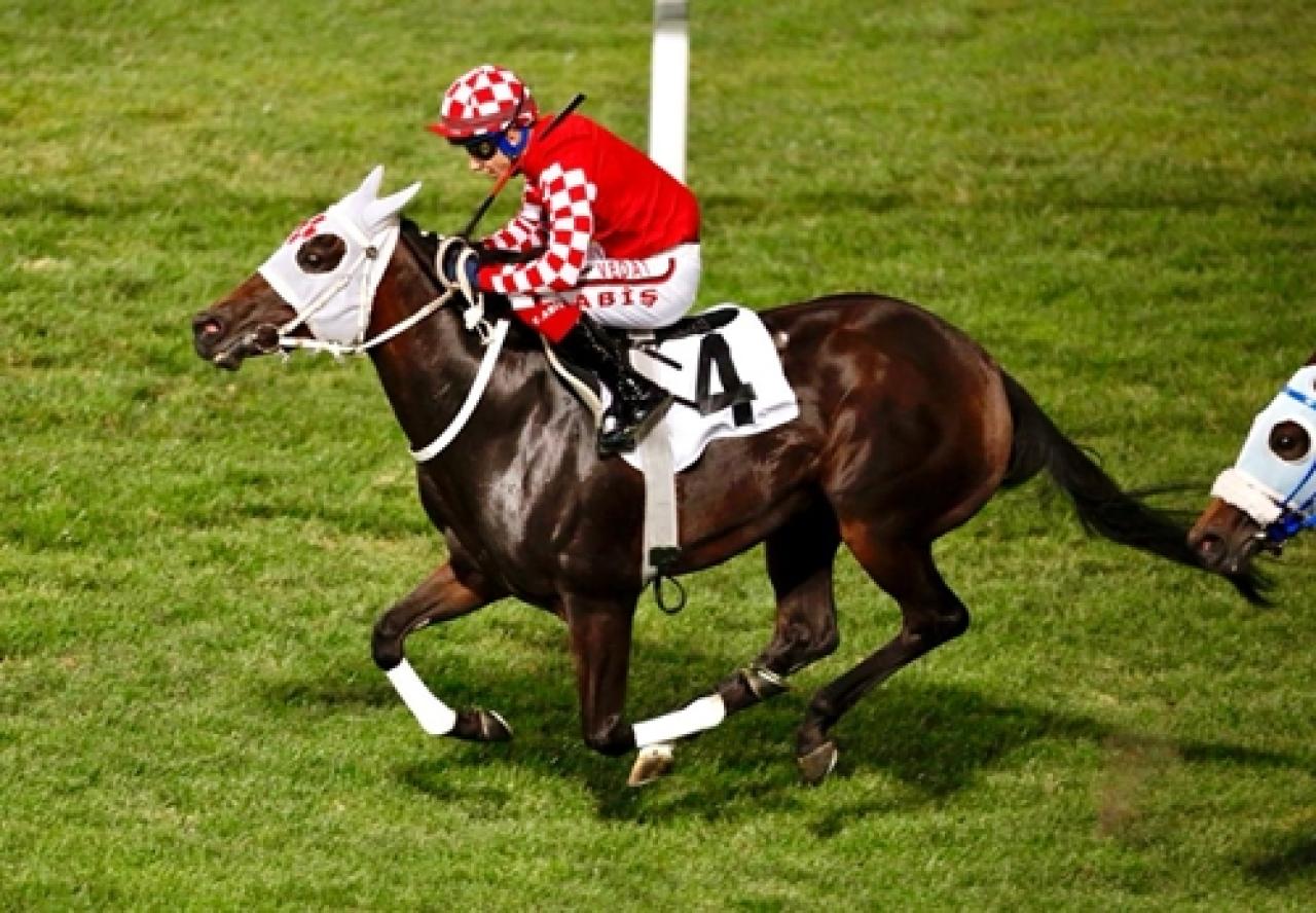 S.İ.A.Y.S.D. Koşusu'nda birinciliğe Chaika uzandı