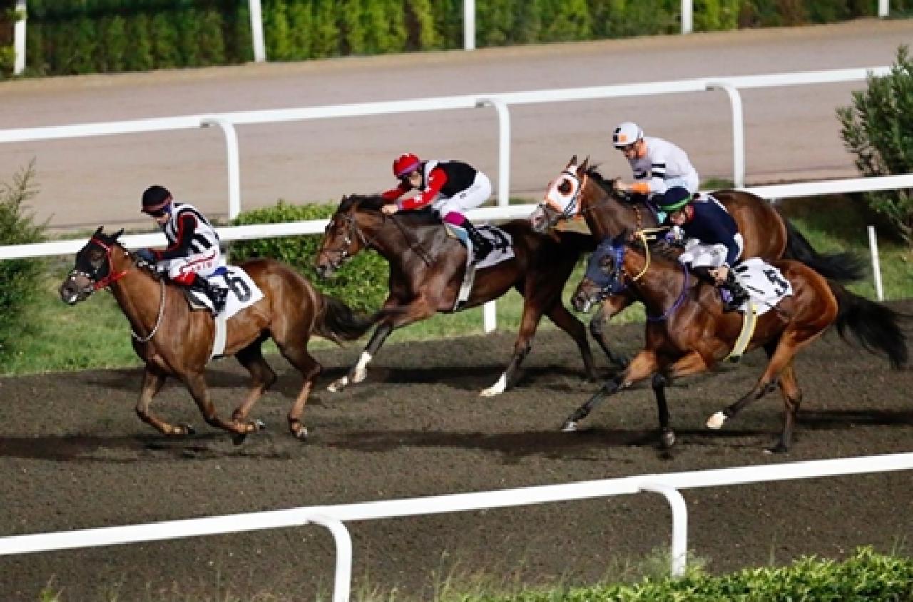 Kızkulesi Koşusu'nu Hermione Granger kazandı