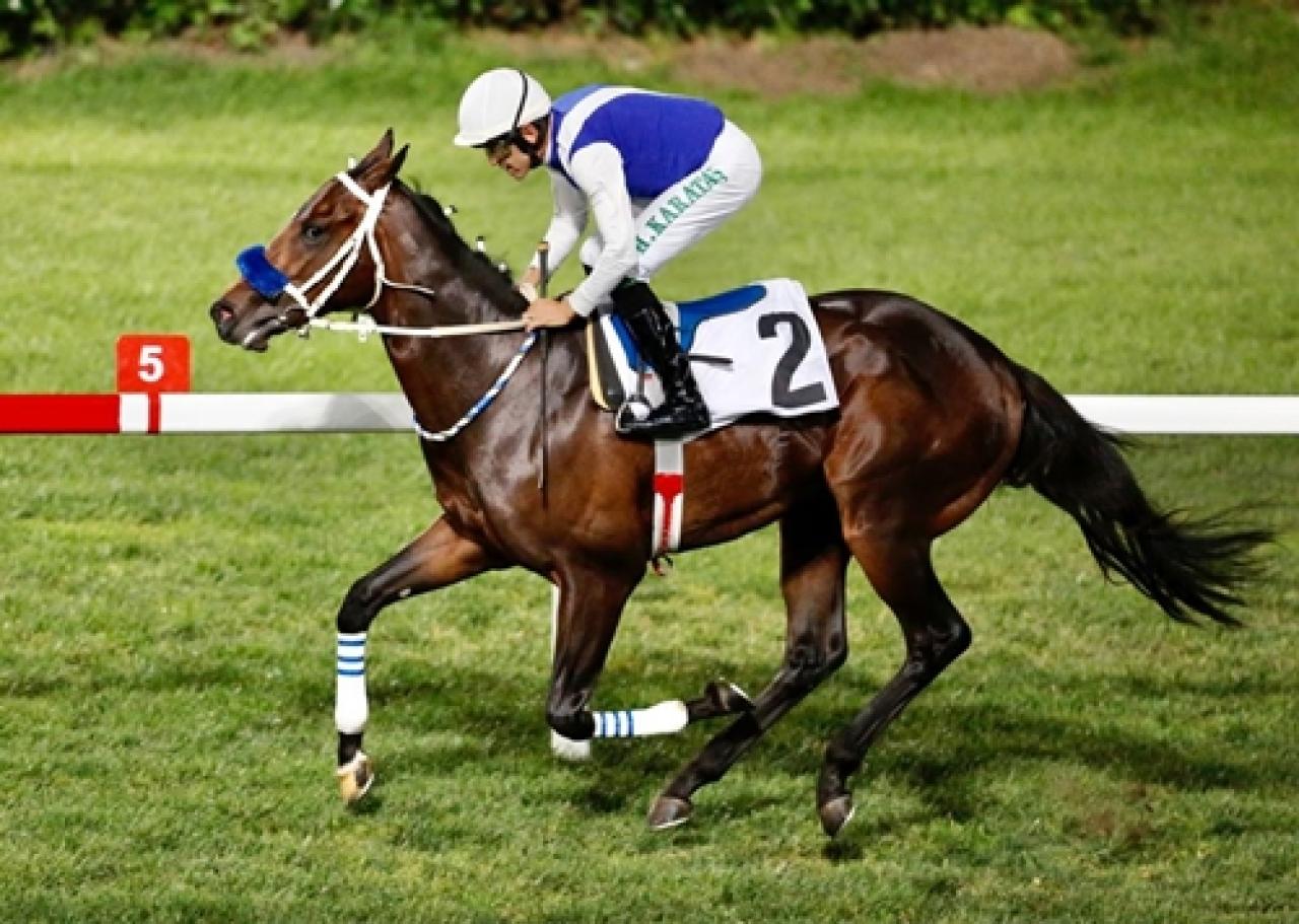 T.Y.A.Y.S.D. Koşusu'nu Lion Victory kazandı