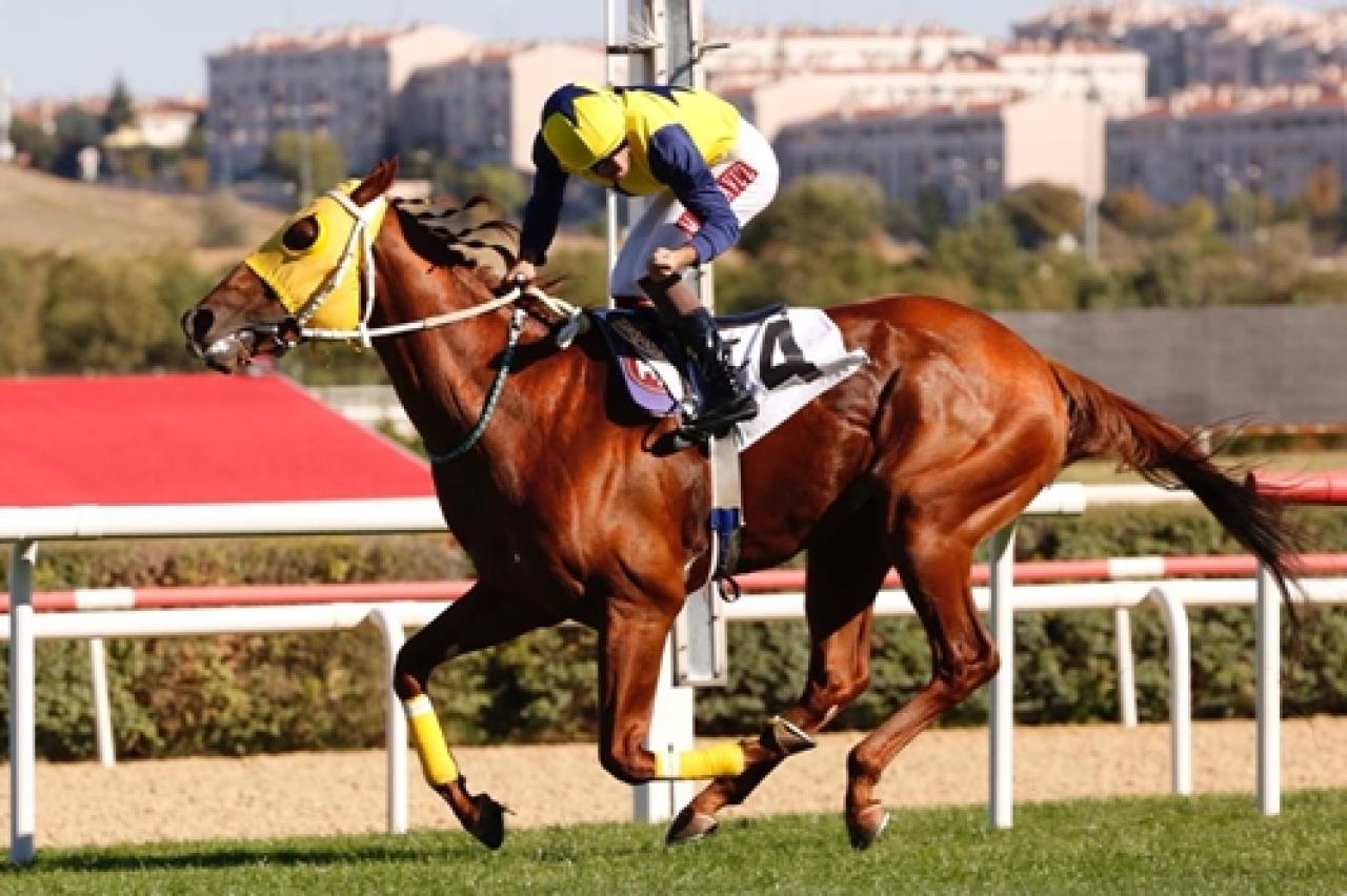 Sürat Koşusu’nda Luminary pist rekoru kırdı