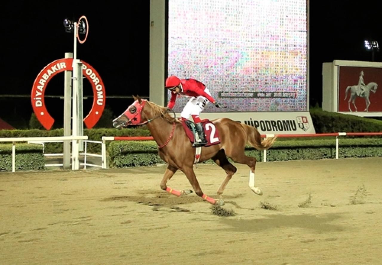 Dicle Üniversitesi Koşusu’nu Hilvanlıoğlu kazandı