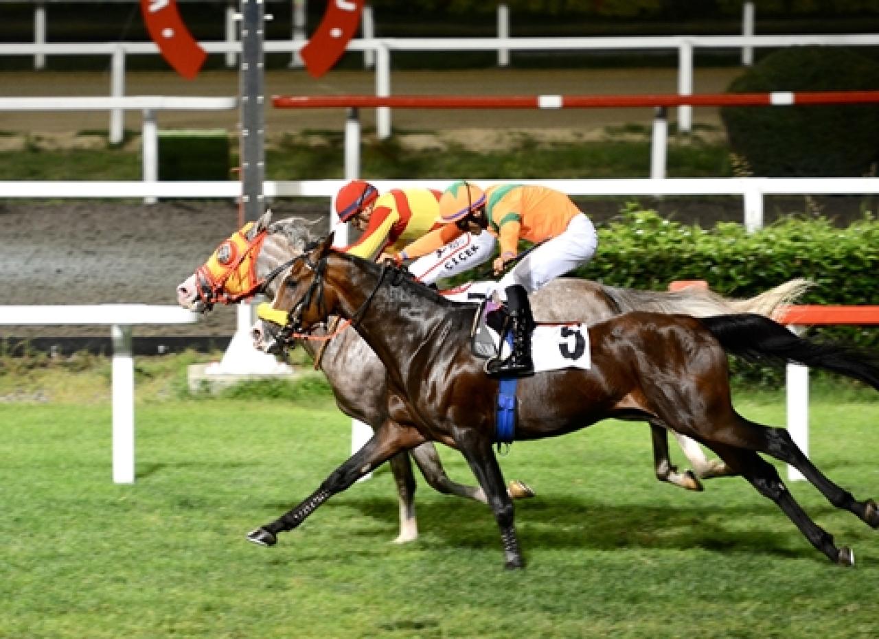 S.A.A.Y.S.D. Koşusu'nu Kıyıcı kazandı