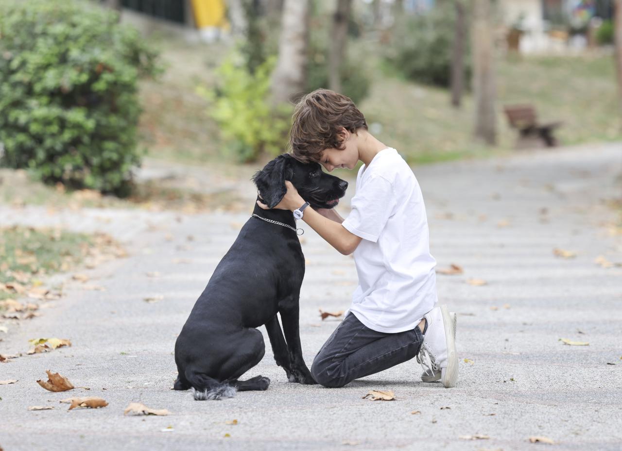 DOSTLARIMIZA ÖMÜRLÜK YUVA