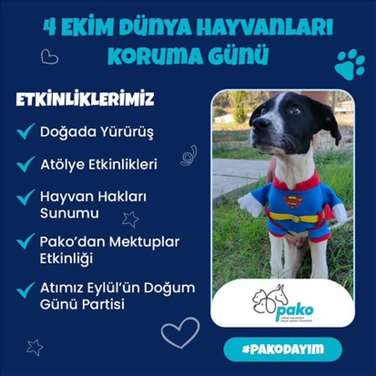 4 Ekim Dünya Hayvanları Koruma Günü Pako’da kutlanacak