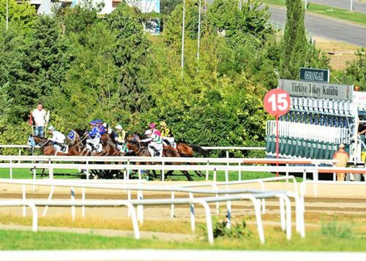 Kayı Koşusu'nun galibi Special Of Horses oldu