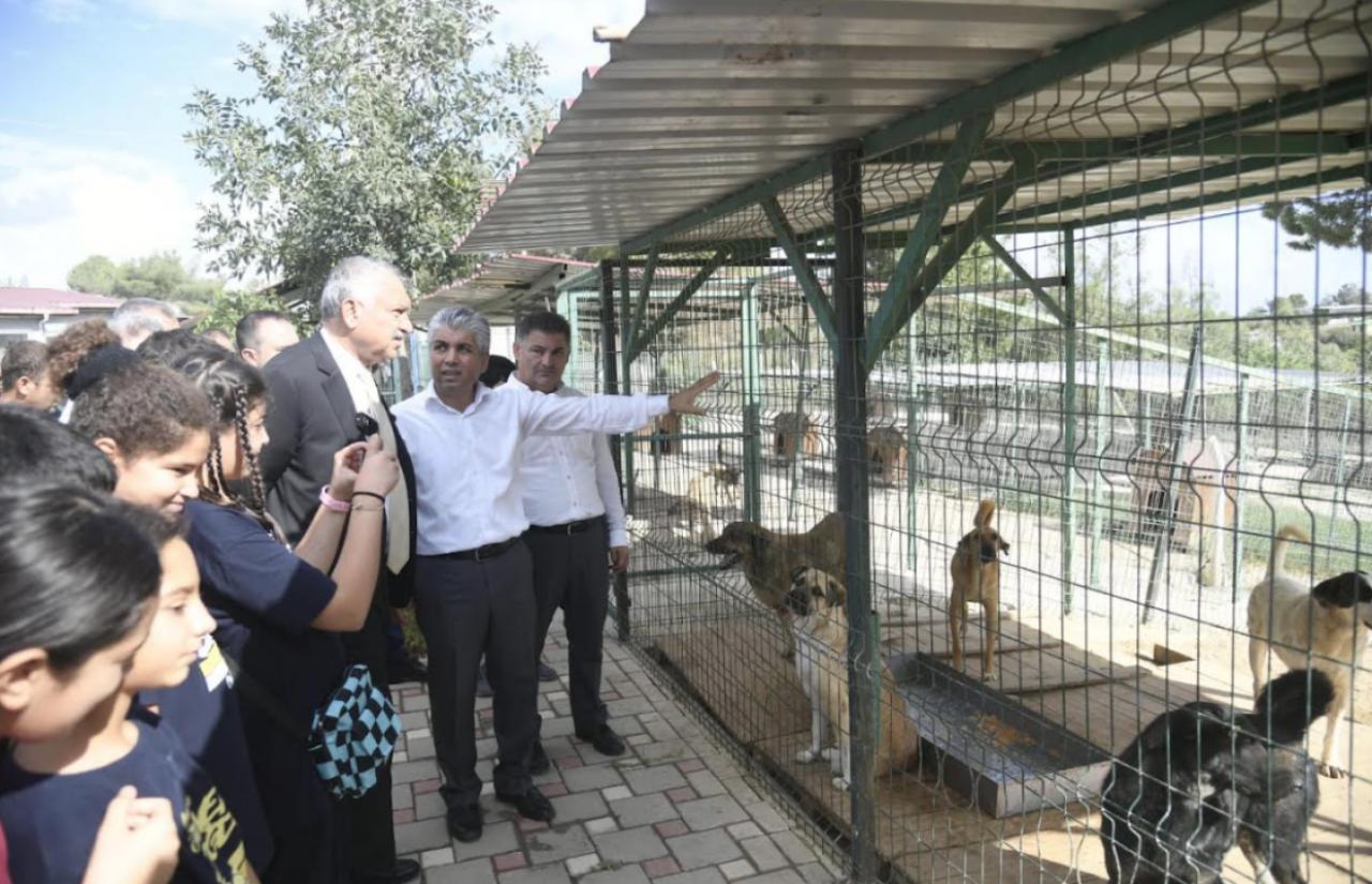 Hayvanları Korumak İnsanlıktır…