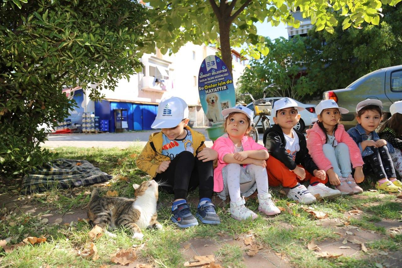 Hayvanları Koruma Gününde Kedi Evleri Dağıtıldı