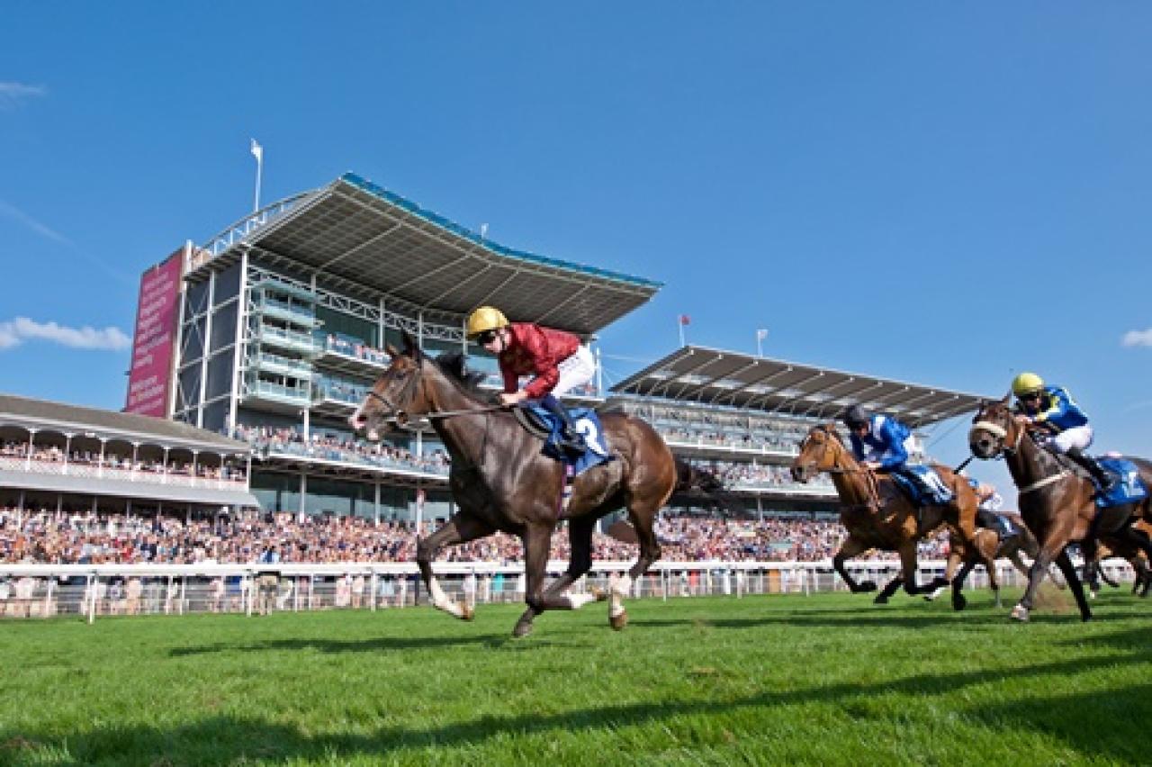 8 Ekim Cumartesi York yarış programı ve erken bahis oranları belli oldu