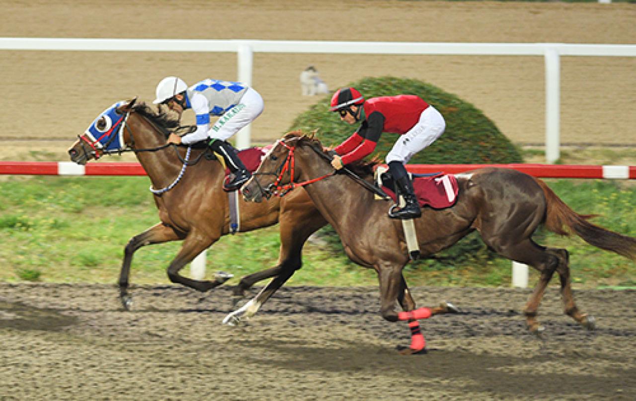 Yusuf Dikman Koşusu'nu Anadolu Zamanı kazandı