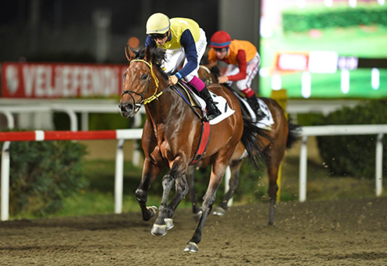 Byerley Turk Koşusu'nu Oğlum Doruk kazandı