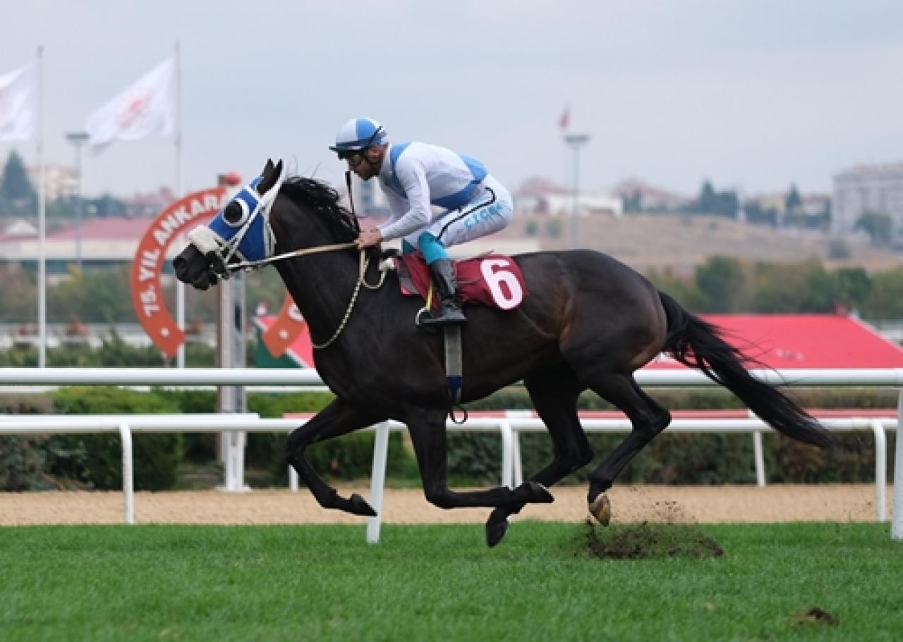 Sir Percy Loraine Koşusu’nu Antiochos kazandı