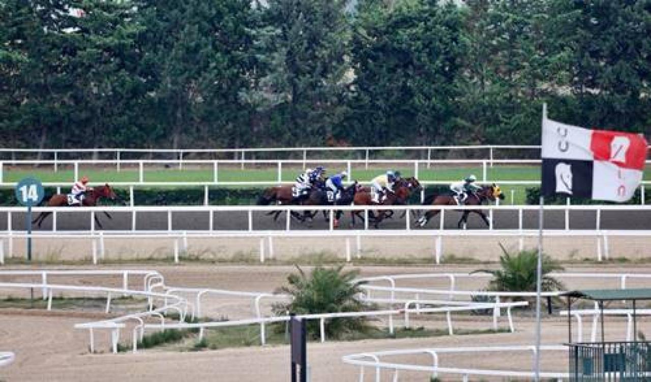 Zühtü Erişen Koşusu'nu Hermione Granger kazandı