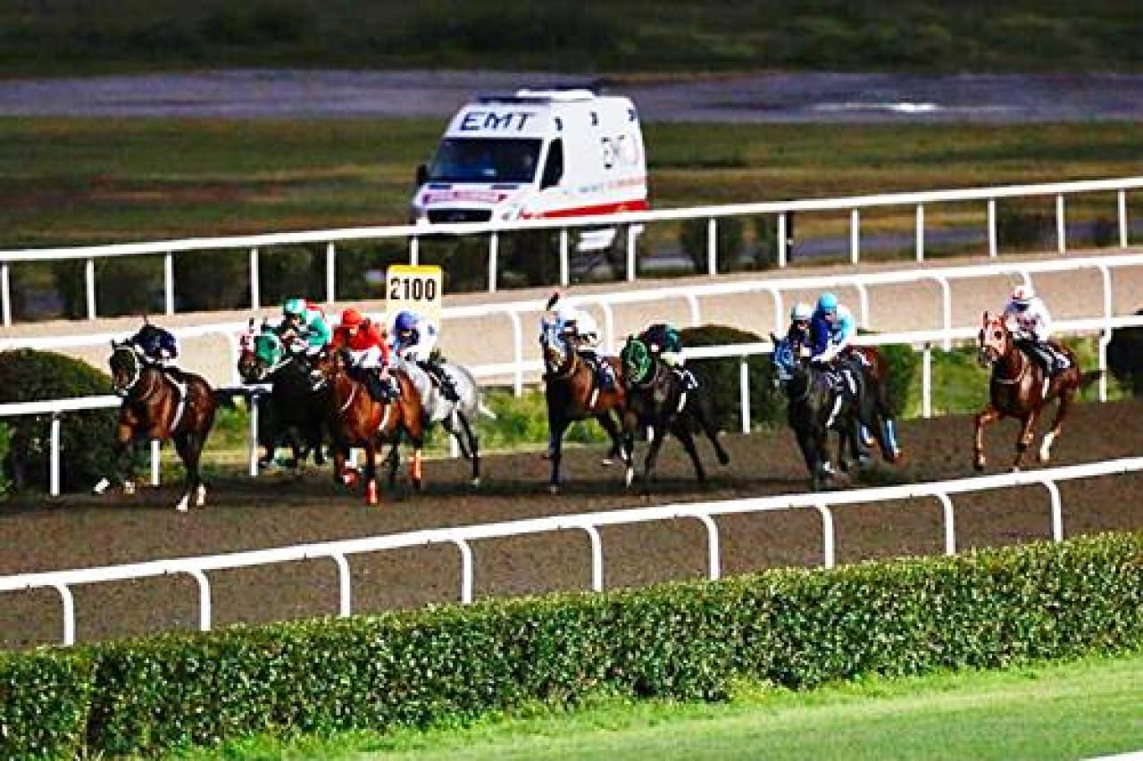 Cevdet Sümer Koşusu'nun galibi Çakırdağlı oldu