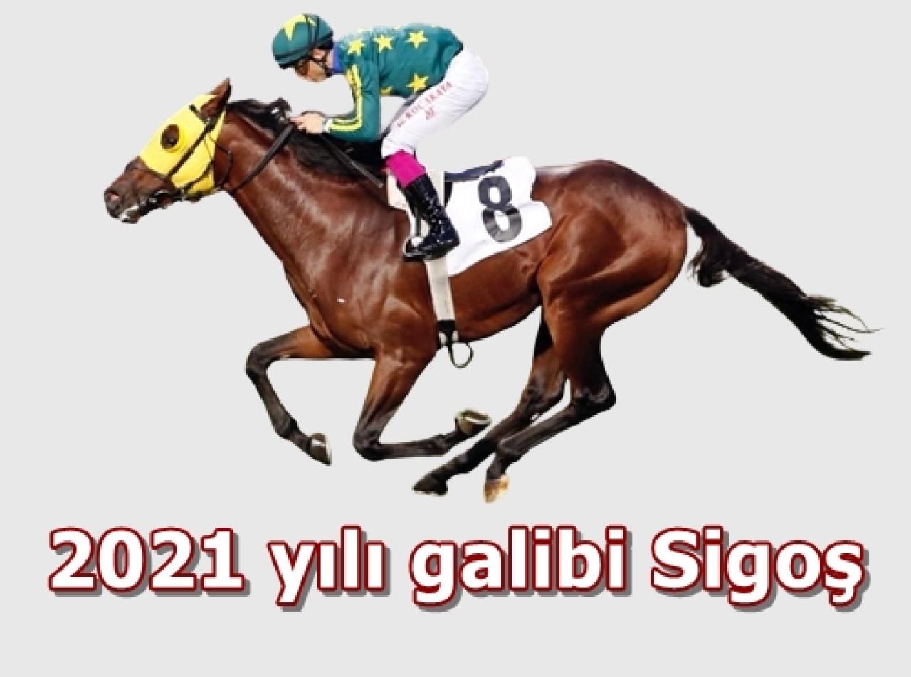 85. Çaldıran Koşusu Pazar günü Veliefendi'de!