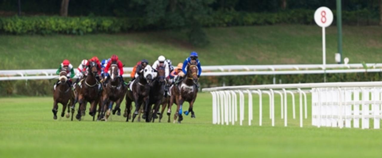 22 Ekim Cumartesi Kranji yarış programı ve erken bahis oranları belli oldu