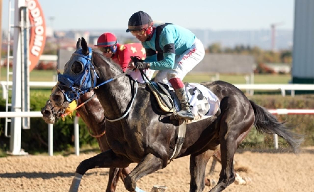 Ankara Kalesi Koşusu’nda zafer King Man Go’nun oldu