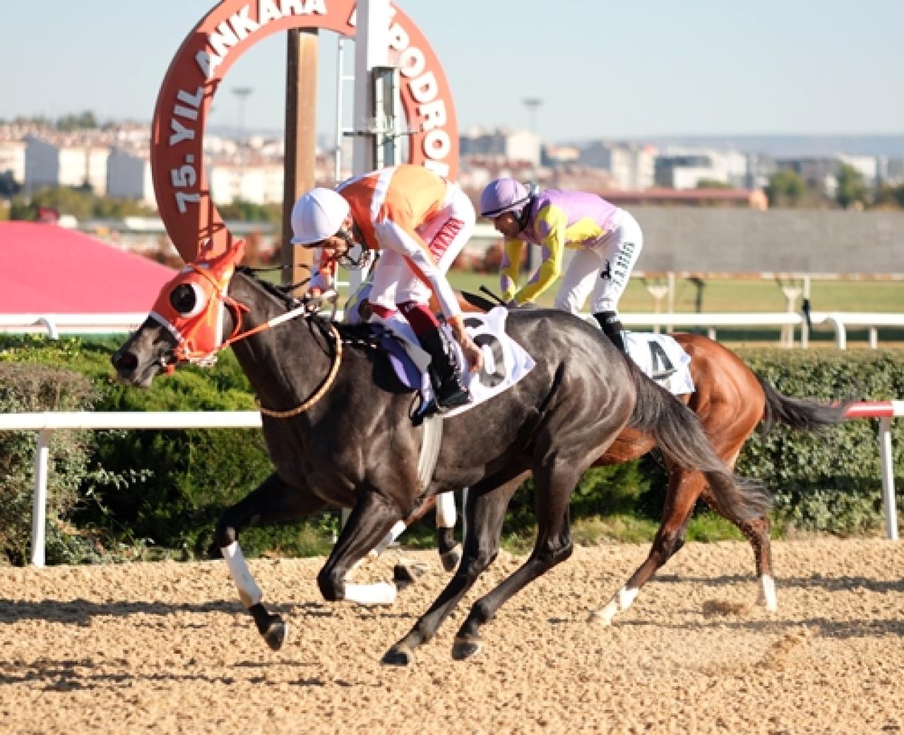 Prof. Selahattin Batu Koşusu’nda galibiyete General Briella ulaştı