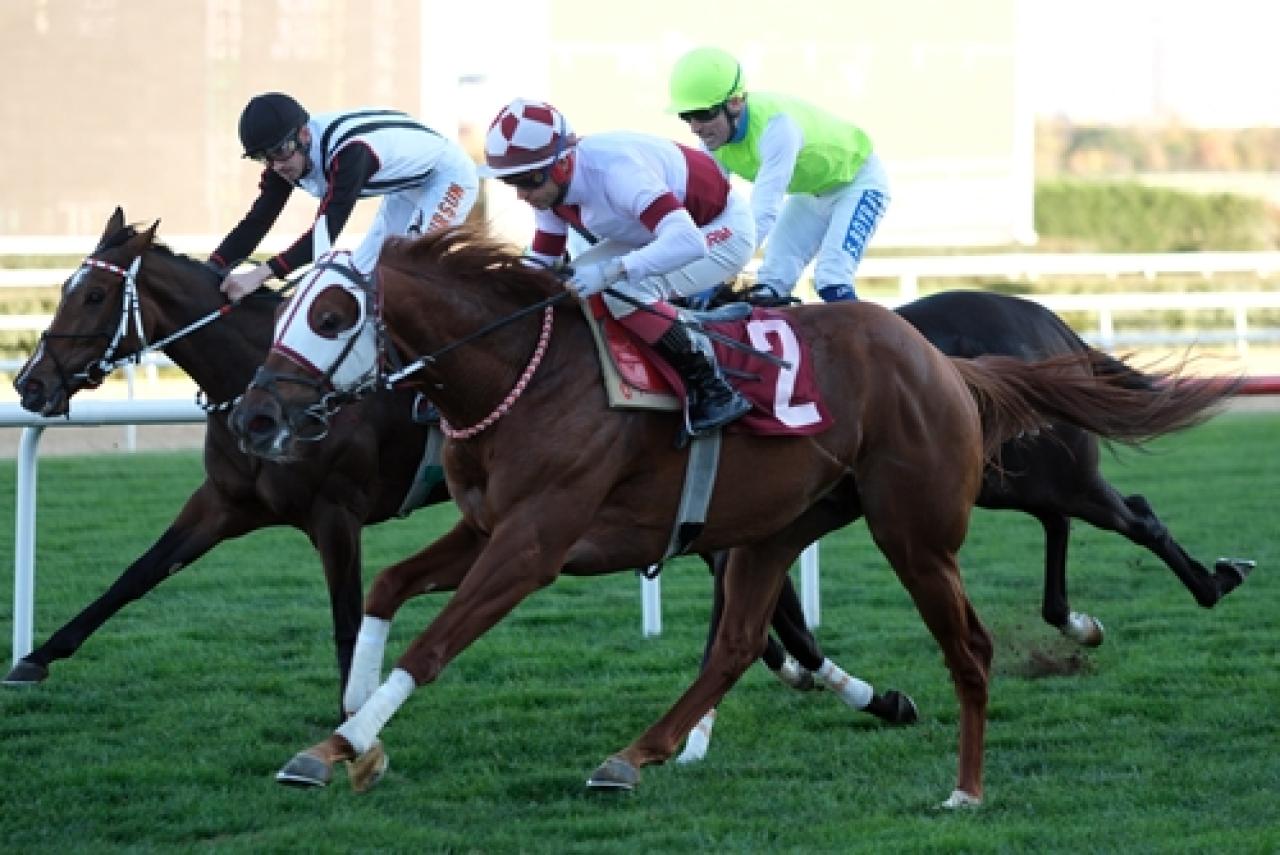 Ömer Kaya Koşusu’nu Black Lion kazandı