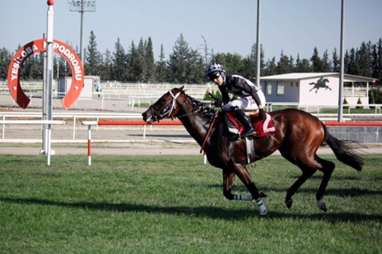 İskenderun Belediyesi Koşusu’nu Head Vorker kazandı