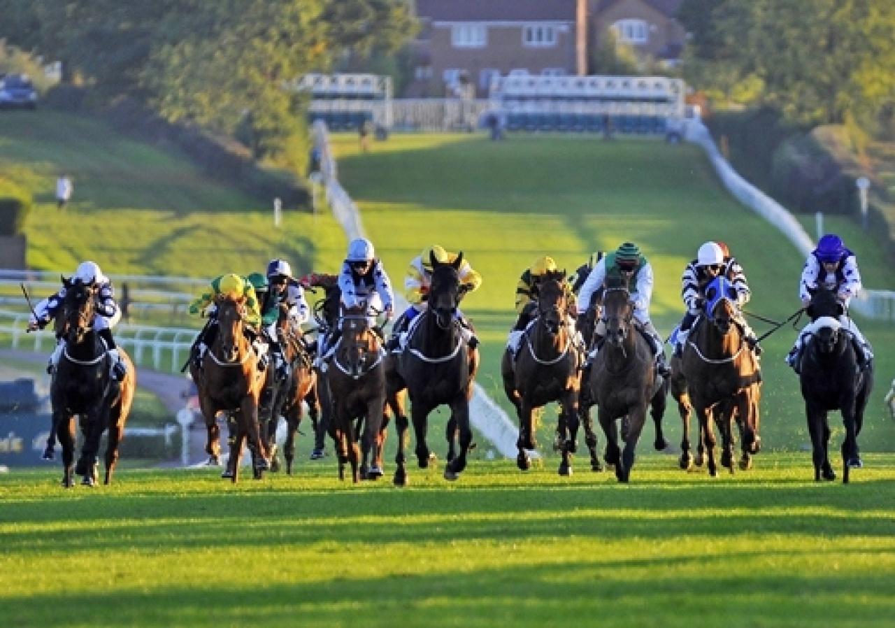 24 Ekim Pazartesi Birleşik Krallık Leicester yarış programı ve erken bahis oranları belli oldu