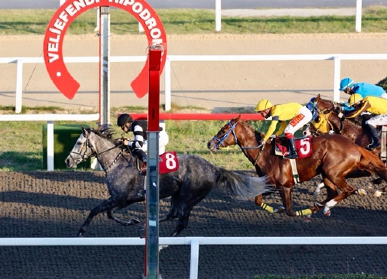 Enver Kadıoğlu Koşusu’nda Girl Gone Bad pist rekoru kırdı