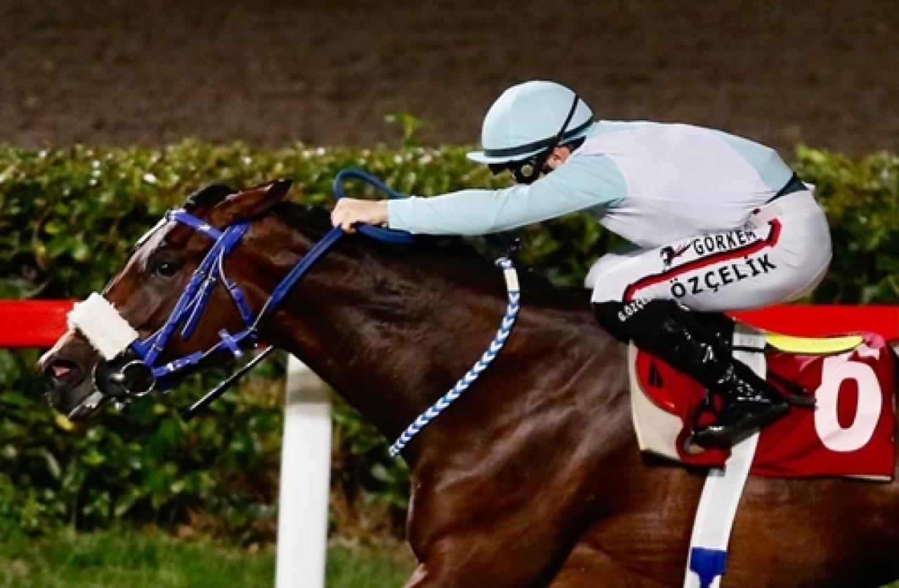 Eşref Somtürk Koşusu'nu Splendid kazandı