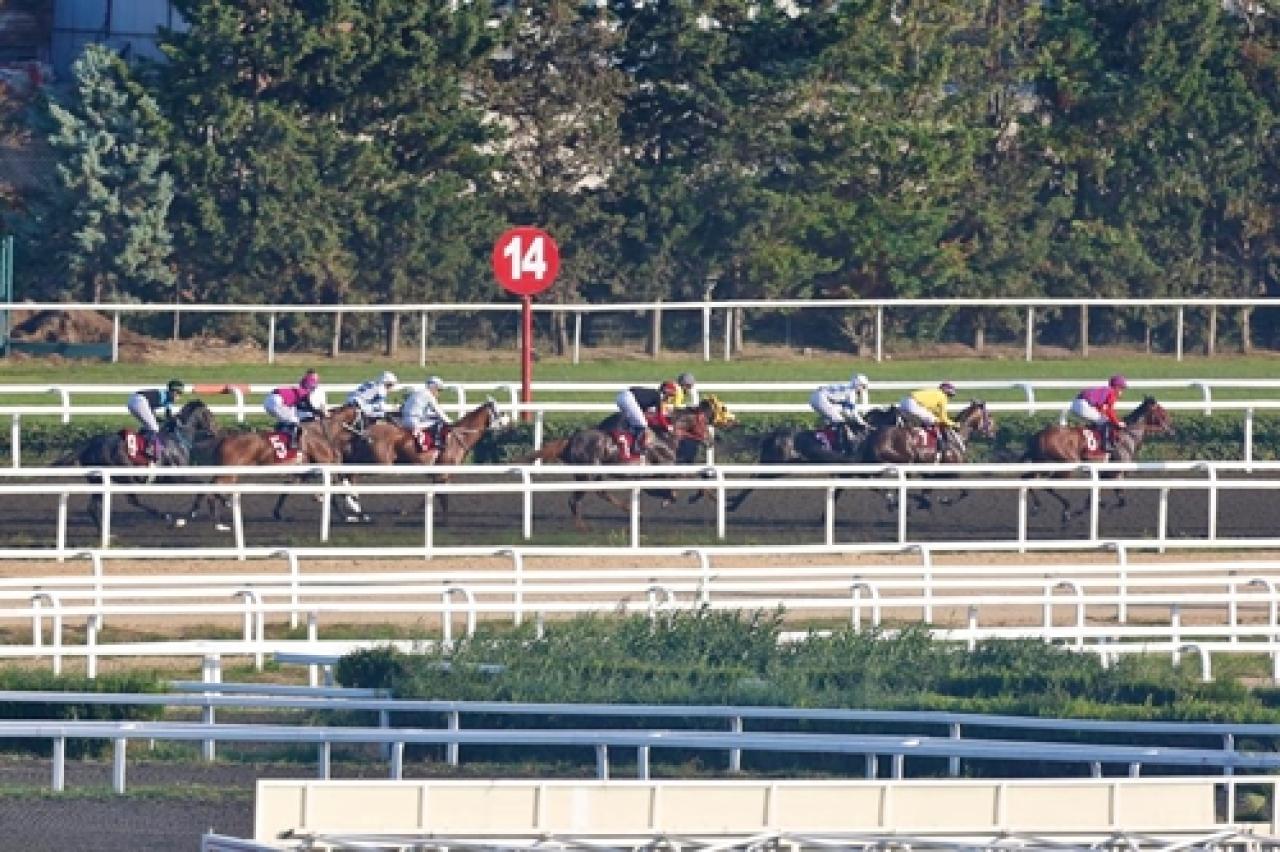 Nurullah Tolon Koşusu'nun galibi Nurselin oldu