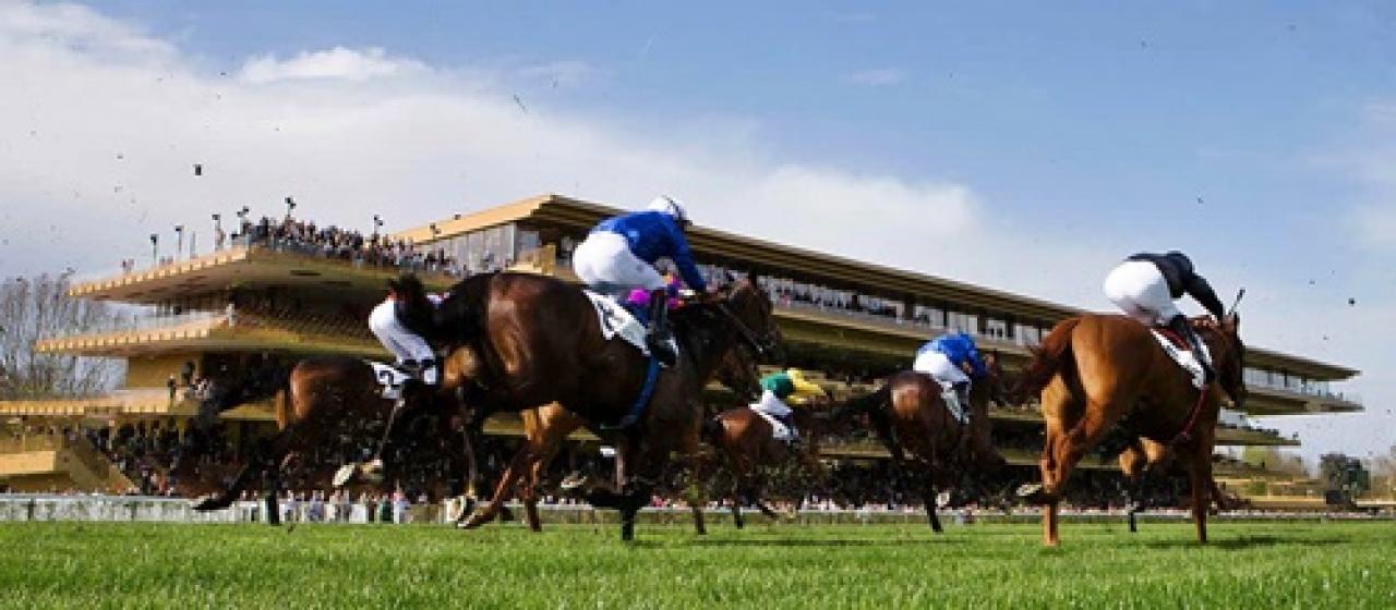 27 Ekim Perşembe ParisLongchamp yarış programı ve erken bahis oranları belli oldu