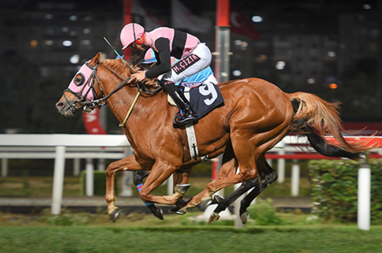 Fikret Kesebir Koşusu’nda galibiyet The Rebel Knight’ın oldu