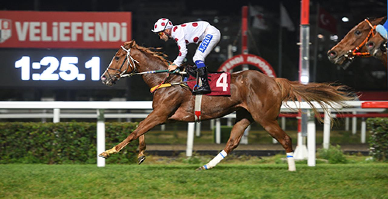 Tulga Yüzatlı Koşusu’nda birinciliğe Rose Queen ulaştı