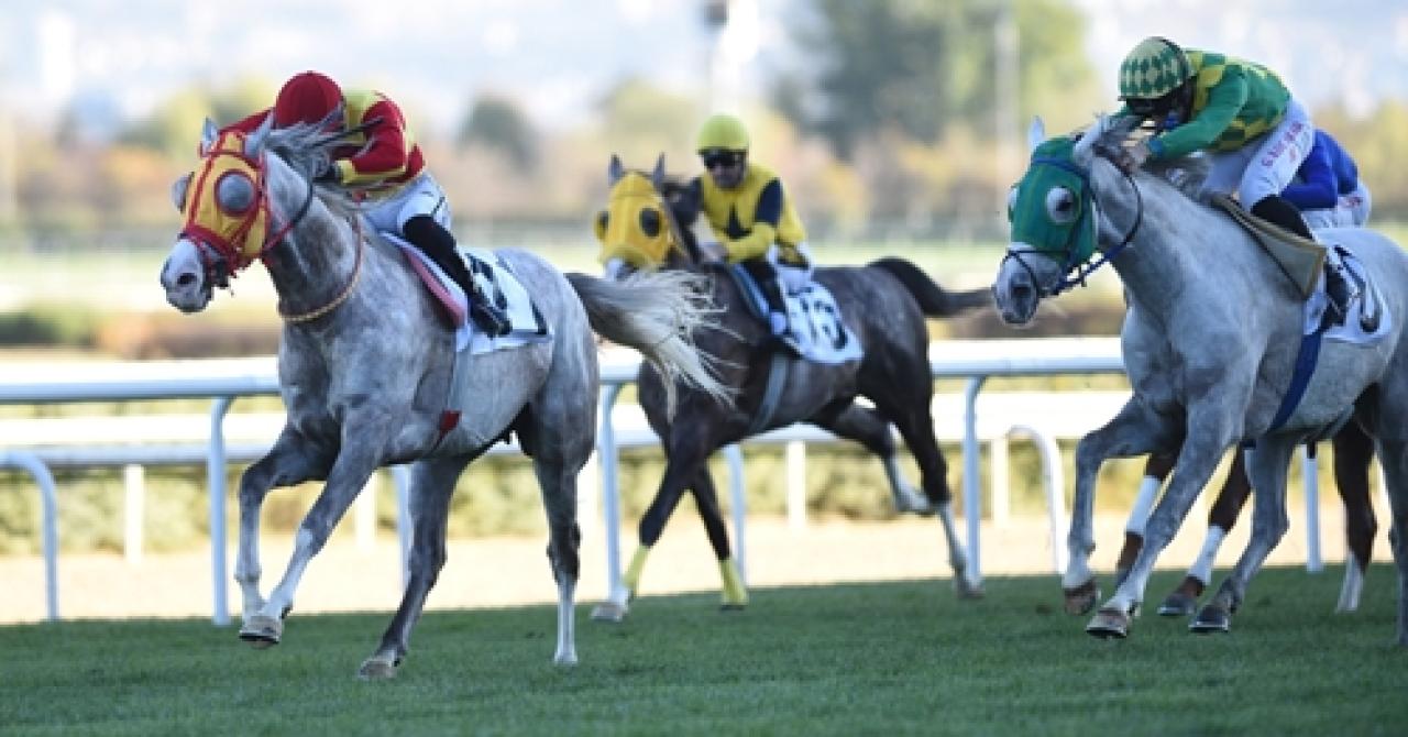 Büyük kupalar sahiplerini buldu