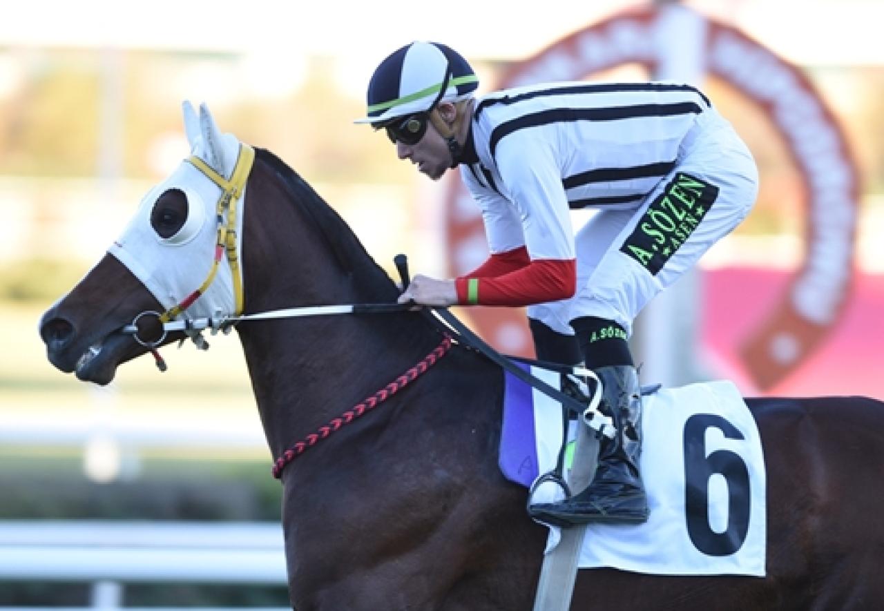 Necip Fazıl Kısakürek Koşusu'nu Katıoğlu kazandı