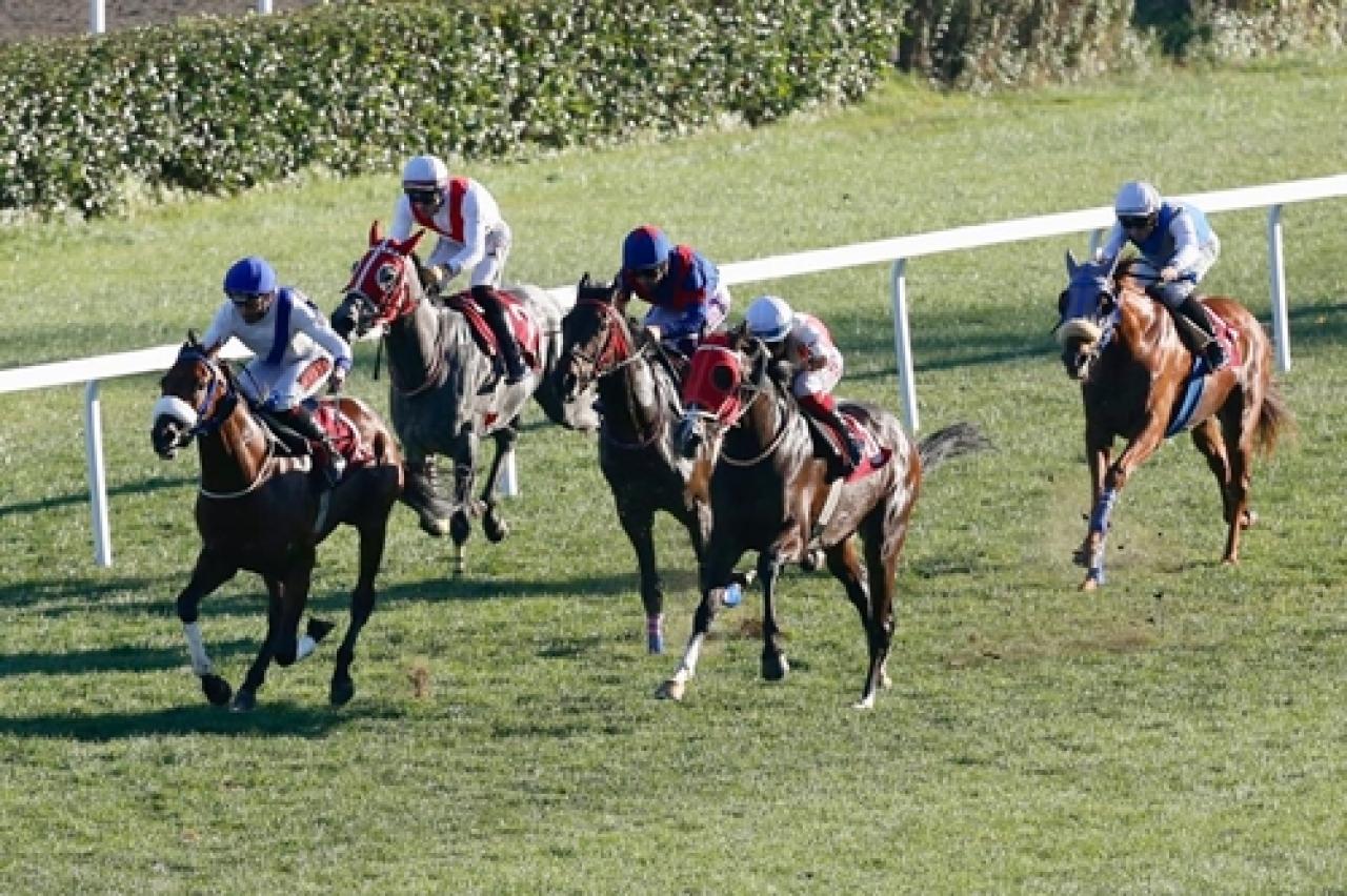 Fikret Çınaryılmaz Koşusu'nu Urfa Aslanı kazandı