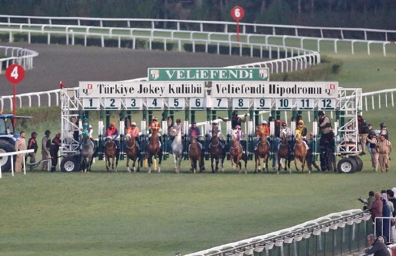 İstanbul Vali Koşusu'nun galibi Özüdoğru oldu