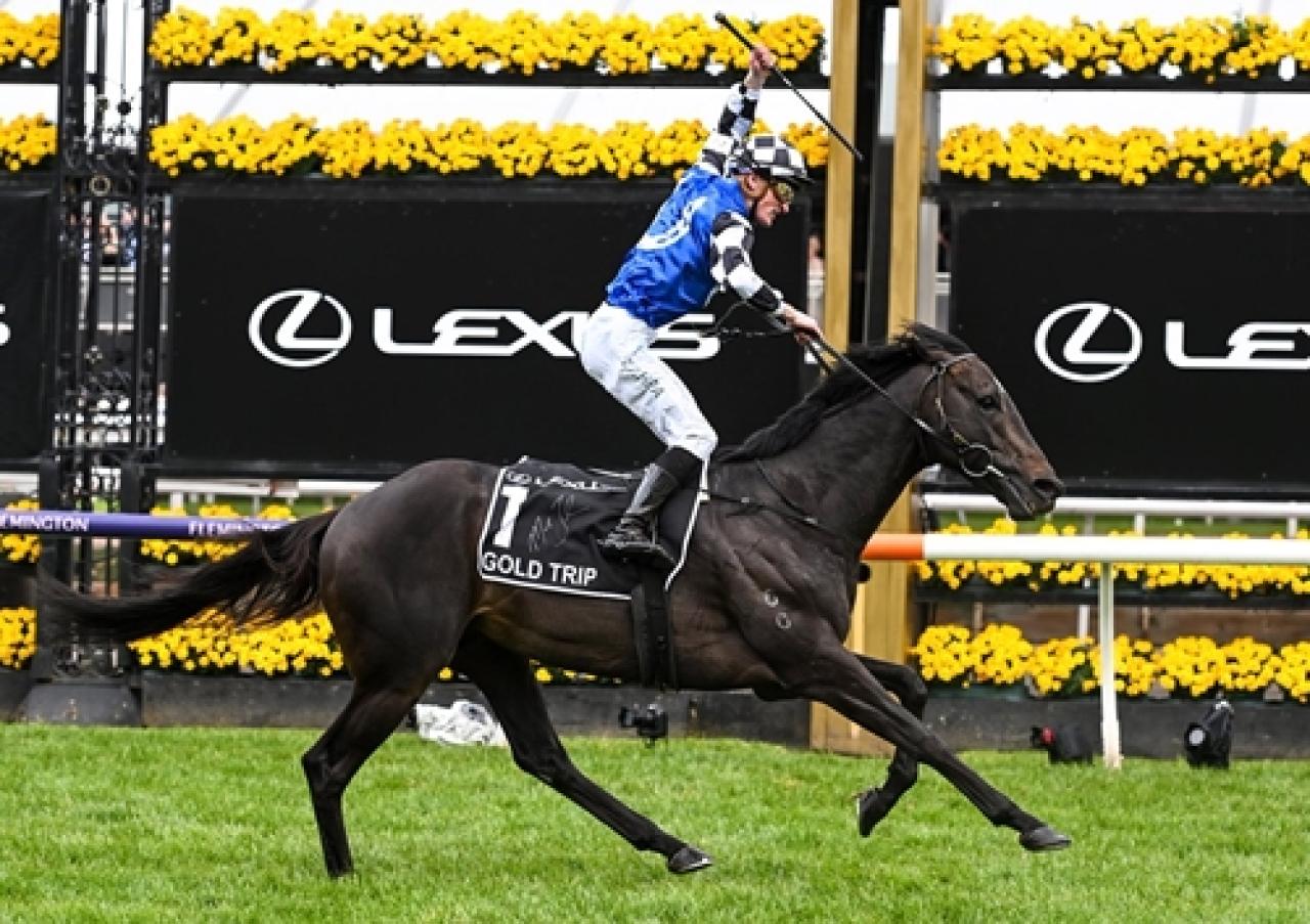162. Melbourne Cup’ta zafer Gold Trip’in oldu