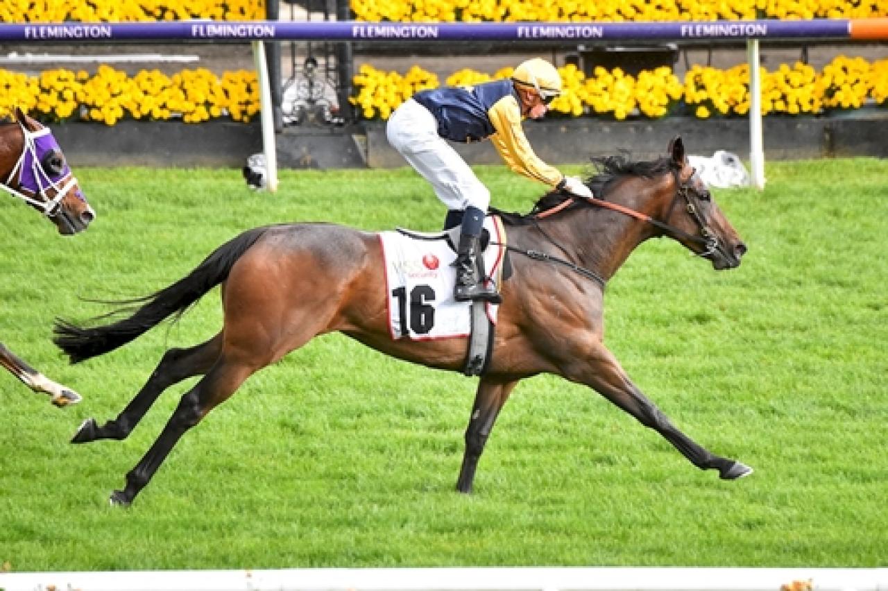 Epaulette temsilcisi Vespertine’den black-type koşu galibiyeti