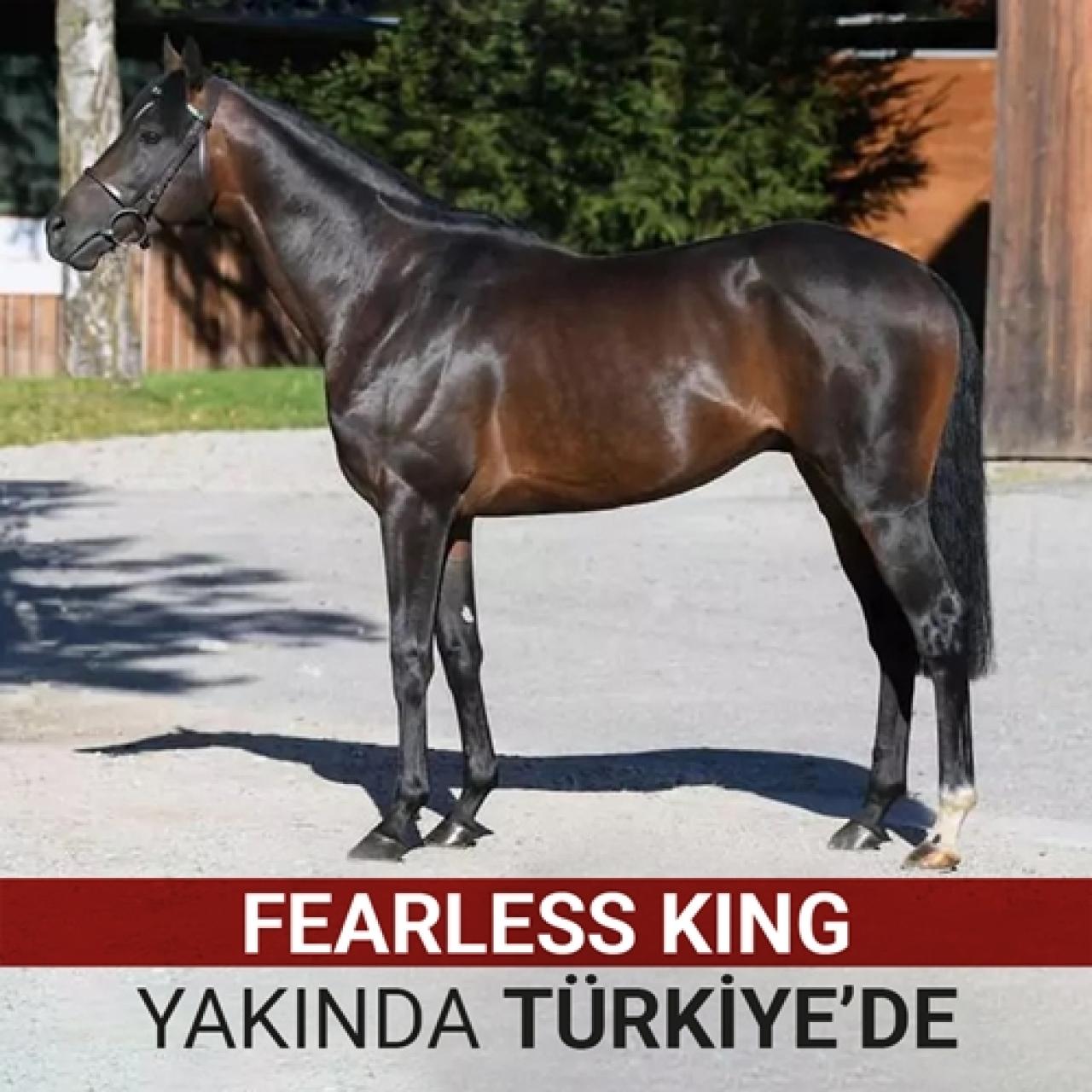 FEARLESS KING yakında Türkiye’de!