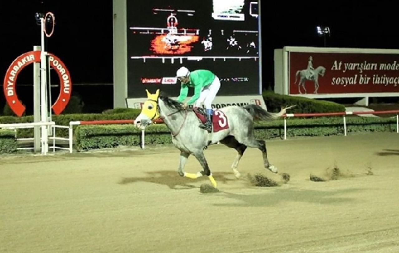 Tahir Polat Koşusu’nu Altınkaplı kazandı