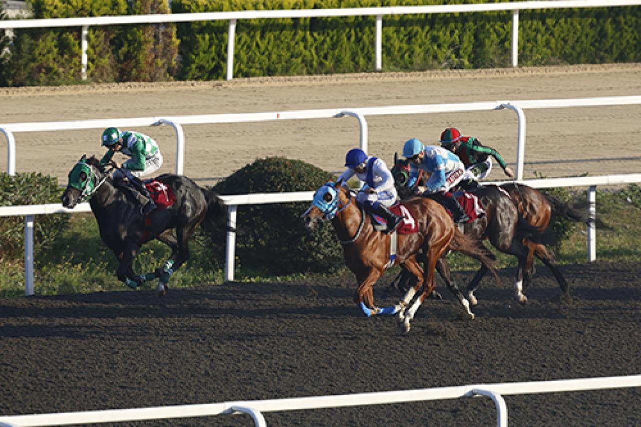 Prof. Dr. Sedat Katırcıoğlu Koşusu'nu Jack Sparrow kazandı