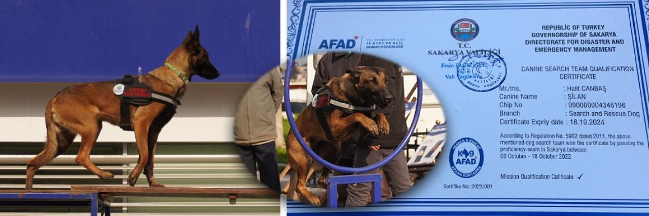 27 KAHRAMANDAN 1’İ ŞİLAN OLDU