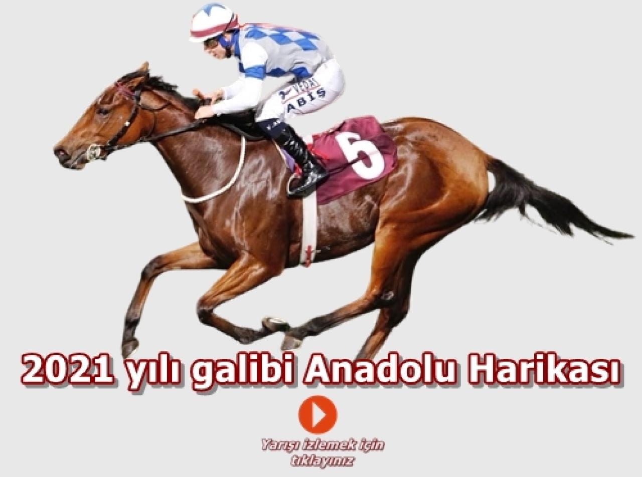 Merhum Asli Üyemiz Şevket Belgin'i saygıyla anıyoruz