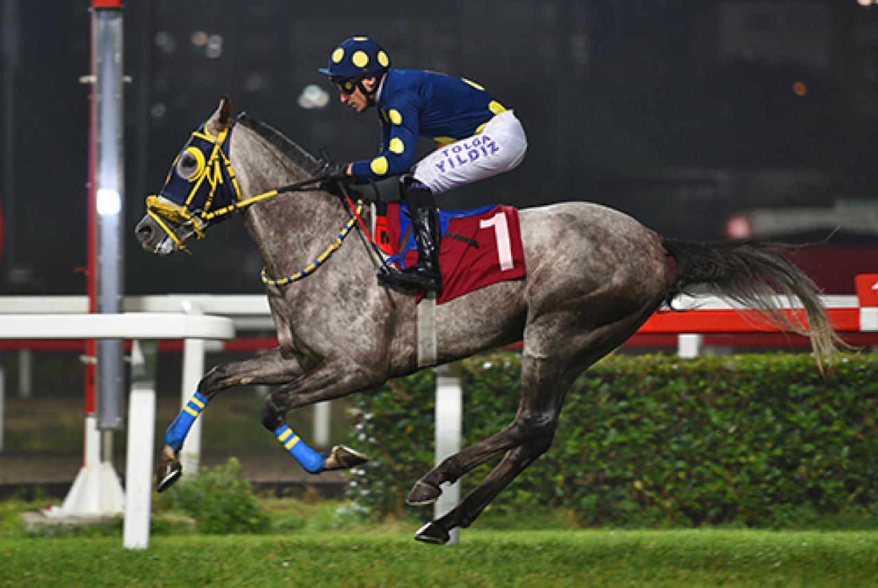 Hayata Bağış Derneği Koşusu'nda birinciliğe Mister Win uzandı