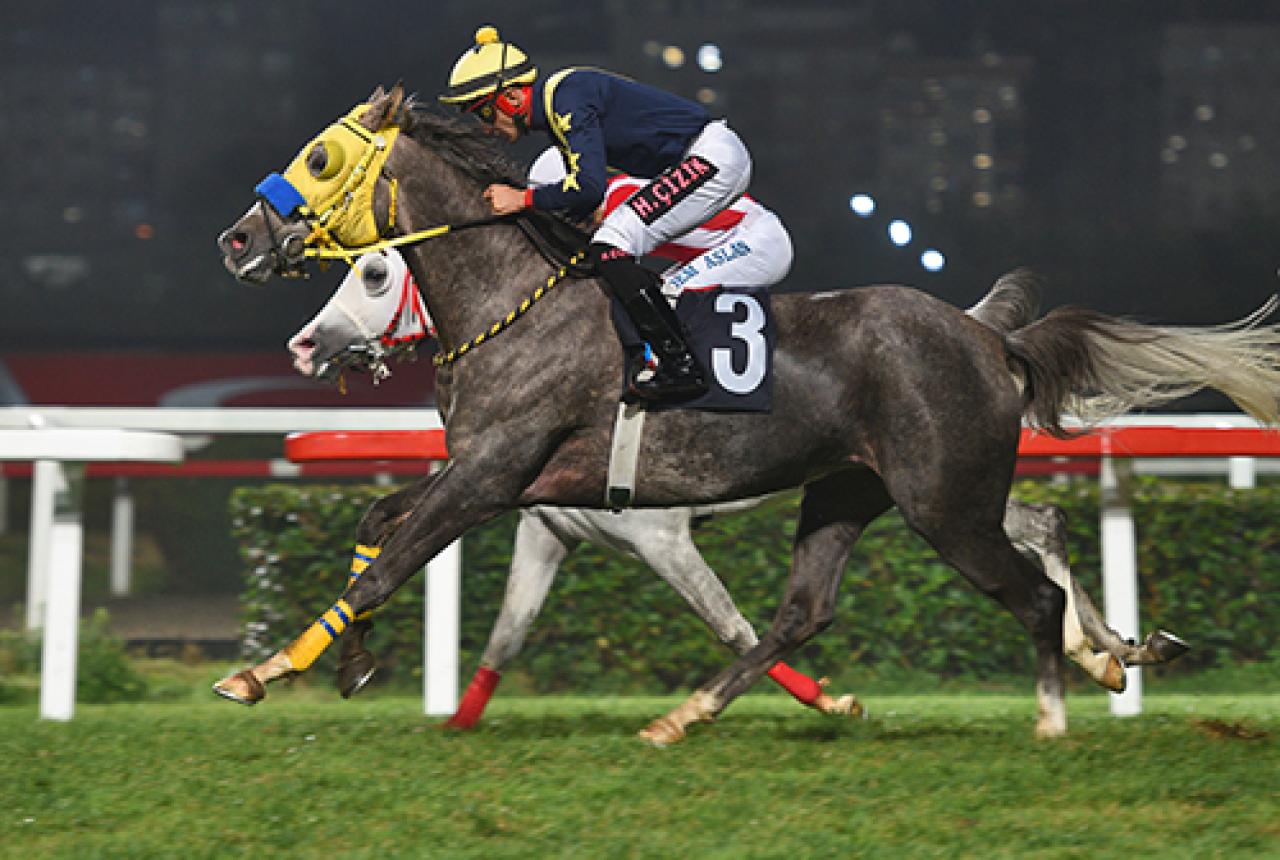 Türk Böbrek Vakfı Koşusu'nu Safiha kazandı