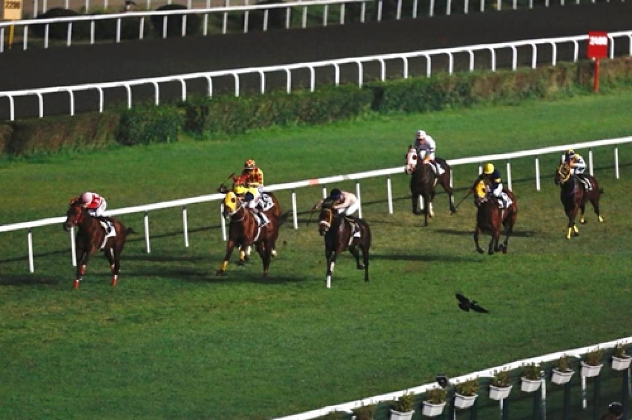 Atıf Esenbel Koşusu'nda galibiyete Time To Shine uzandı