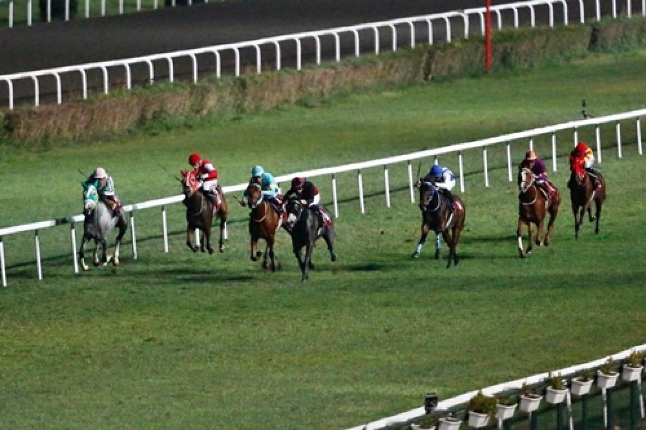 Şevket Belgin Koşusu'nu Khan Khan Baby kazandı